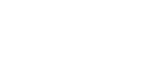 Logo HFI (24.1.9) - 4